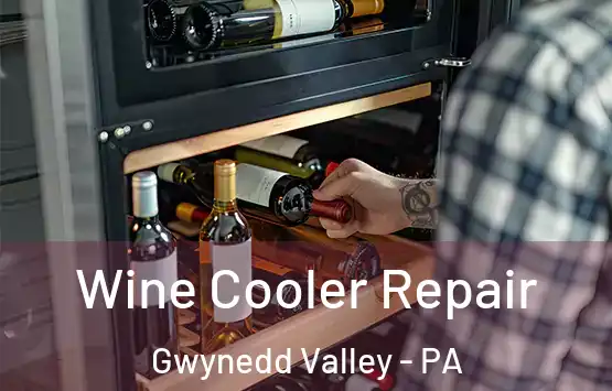  Wine Cooler Repair Gwynedd Valley - PA