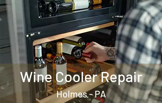  Wine Cooler Repair Holmes - PA