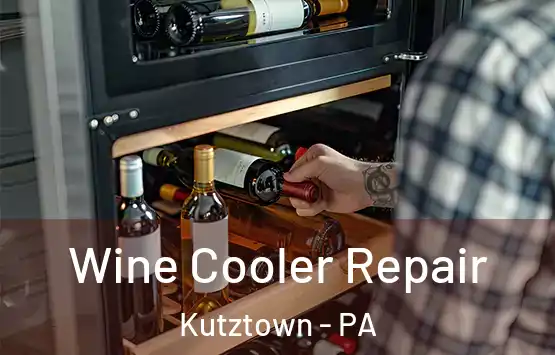  Wine Cooler Repair Kutztown - PA
