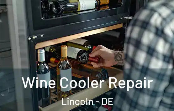  Wine Cooler Repair Lincoln - DE
