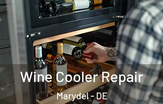  Wine Cooler Repair Marydel - DE