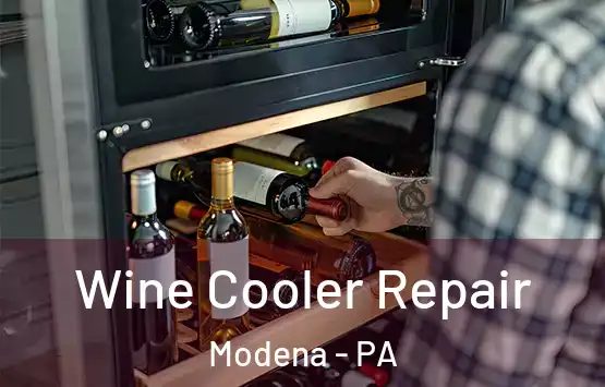  Wine Cooler Repair Modena - PA
