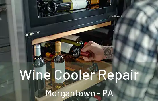  Wine Cooler Repair Morgantown - PA