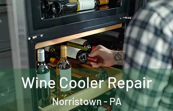  Wine Cooler Repair Norristown - PA