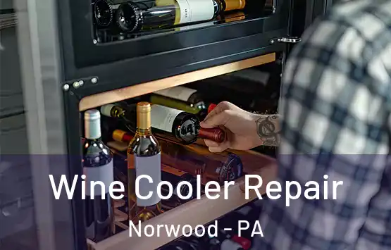  Wine Cooler Repair Norwood - PA
