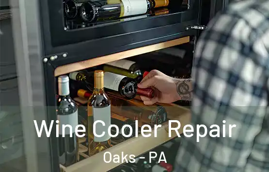  Wine Cooler Repair Oaks - PA