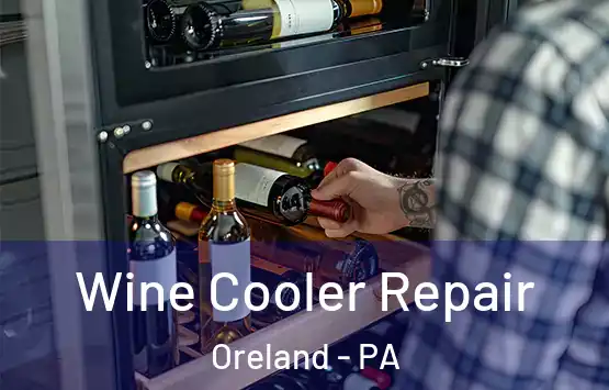  Wine Cooler Repair Oreland - PA