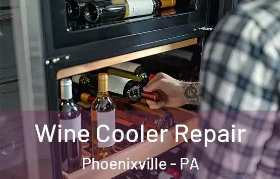  Wine Cooler Repair Phoenixville - PA