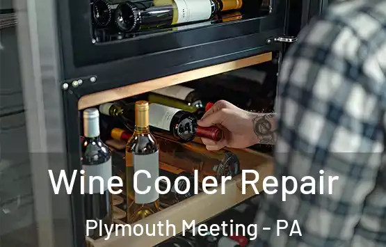  Wine Cooler Repair Plymouth Meeting - PA