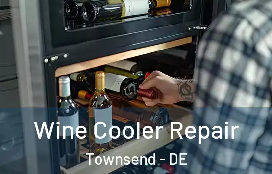  Wine Cooler Repair Townsend - DE