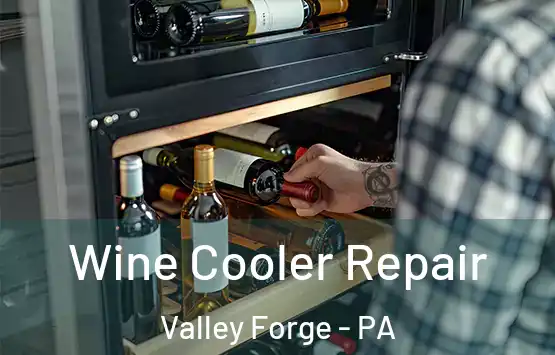  Wine Cooler Repair Valley Forge - PA