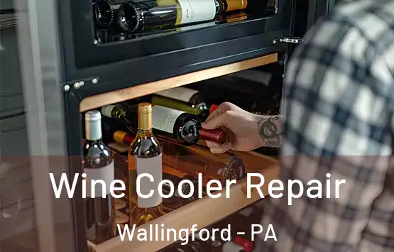  Wine Cooler Repair Wallingford - PA