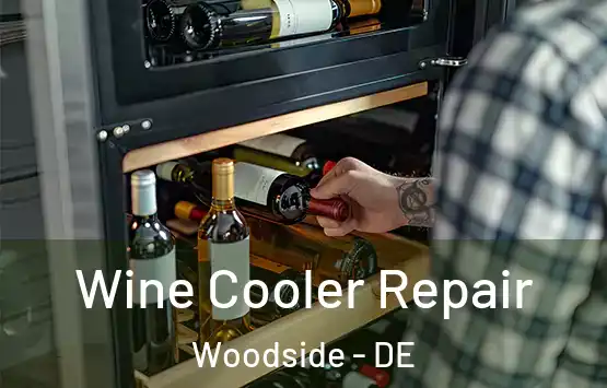  Wine Cooler Repair Woodside - DE