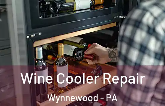  Wine Cooler Repair Wynnewood - PA